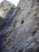 Cliquer pour voir la photo en grand ( octets)