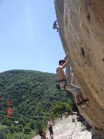 Cliquer pour voir la photo en grand ( octets)