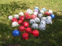 Cliquer pour voir la photo en grand ( octets)