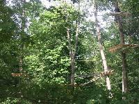 Cliquer pour voir la photo en grand ( octets)