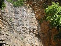 Cliquer pour voir la photo en grand ( octets)