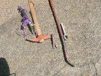 Cliquer pour voir la photo en grand ( octets)