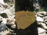 Cliquer pour voir la photo en grand ( octets)