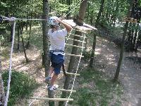 Cliquer pour voir la photo en grand ( octets)