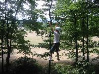 Cliquer pour voir la photo en grand ( octets)