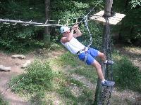 Cliquer pour voir la photo en grand ( octets)