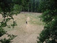 Cliquer pour voir la photo en grand ( octets)