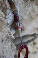 Cliquer pour voir la photo en grand ( octets)