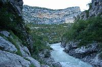 Cliquer pour voir la photo en grand ( octets)