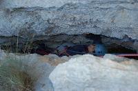 Cliquer pour voir la photo en grand ( octets)