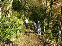 Cliquer pour voir la photo en grand ( octets)