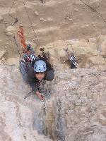 Cliquer pour voir la photo en grand ( octets)