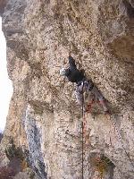 Cliquer pour voir la photo en grand ( octets)