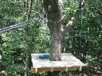 Cliquer pour voir la photo en grand ( octets)