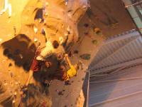 Cliquer pour voir la photo en grand ( octets)