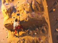 Cliquer pour voir la photo en grand ( octets)