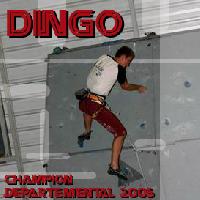 Cliquer pour voir la photo en grand ( octets)