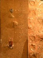 Cliquer pour voir la photo en grand ( octets)