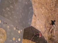 Cliquer pour voir la photo en grand ( octets)