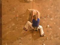 Cliquer pour voir la photo en grand ( octets)