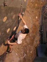 Cliquer pour voir la photo en grand ( octets)