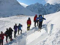 Cliquer pour voir la photo en grand ( octets)