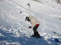 Cliquer pour voir la photo en grand ( octets)