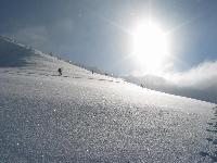 Cliquer pour voir la photo en grand ( octets)