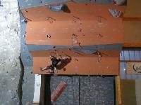 Cliquer pour voir la photo en grand ( octets)