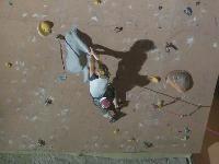 Cliquer pour voir la photo en grand ( octets)