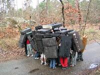 Cliquer pour voir la photo en grand ( octets)