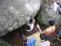 Cliquer pour voir la photo en grand ( octets)