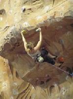 Cliquer pour voir la photo en grand ( octets)