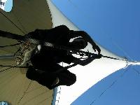 Cliquer pour voir la photo en grand ( octets)