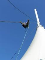 Cliquer pour voir la photo en grand ( octets)