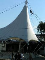 Cliquer pour voir la photo en grand ( octets)