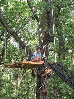 Cliquer pour voir la photo en grand ( octets)