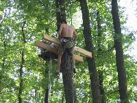 Cliquer pour voir la photo en grand ( octets)