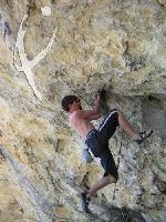 Cliquer pour voir la photo en grand ( octets)