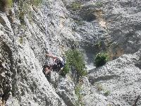 Cliquer pour voir la photo en grand ( octets)