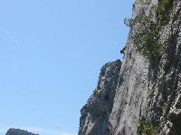 Cliquer pour voir la photo en grand ( octets)