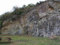 Cliquer pour voir la photo en grand ( octets)