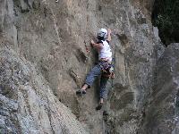 Cliquer pour voir la photo en grand ( octets)