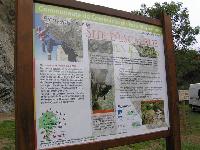 Cliquer pour voir la photo en grand ( octets)