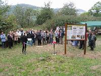 Cliquer pour voir la photo en grand ( octets)