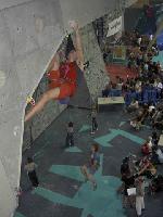 Cliquer pour voir la photo en grand ( octets)