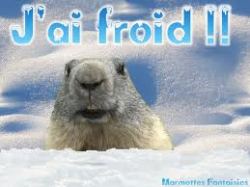 froid et peau